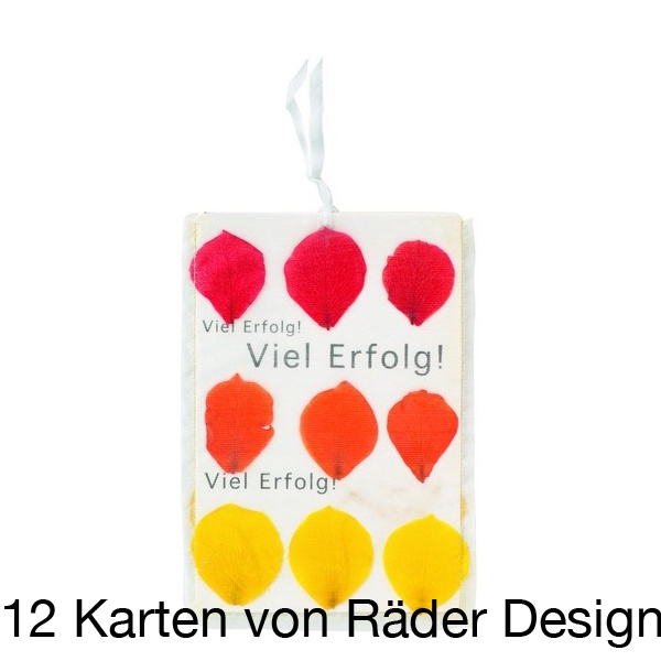 Flowerbagkarte "Viel Erfolg!" 12er Set